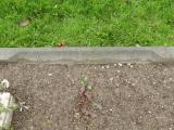 image of grave number 683524